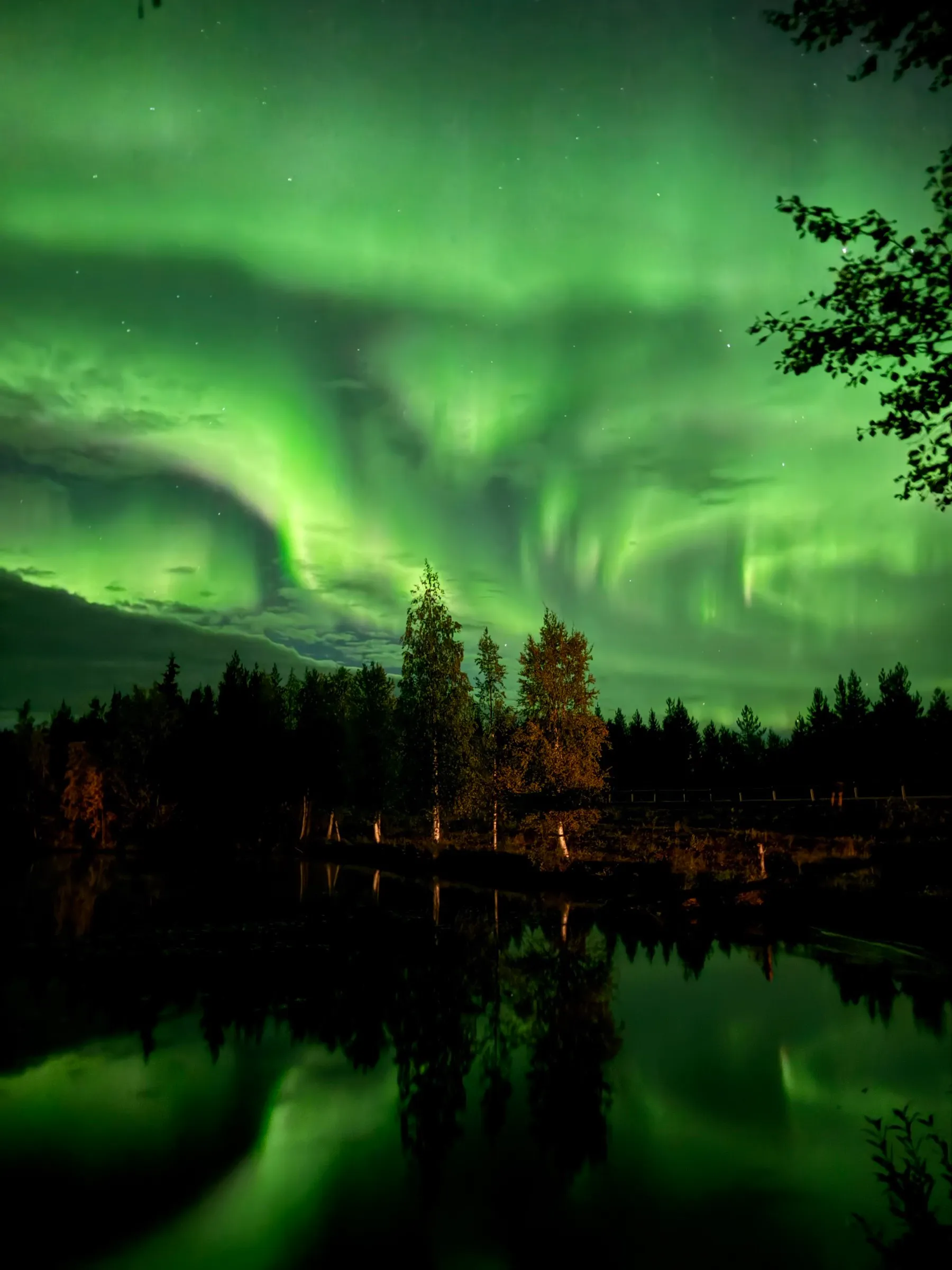 Northern lights